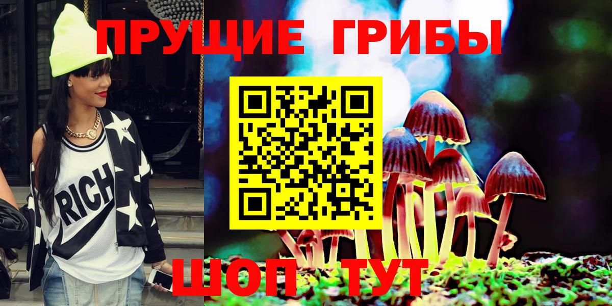 купить   Галлюциногенные грибы Psilocybe  Вход с VPN  Чехов 