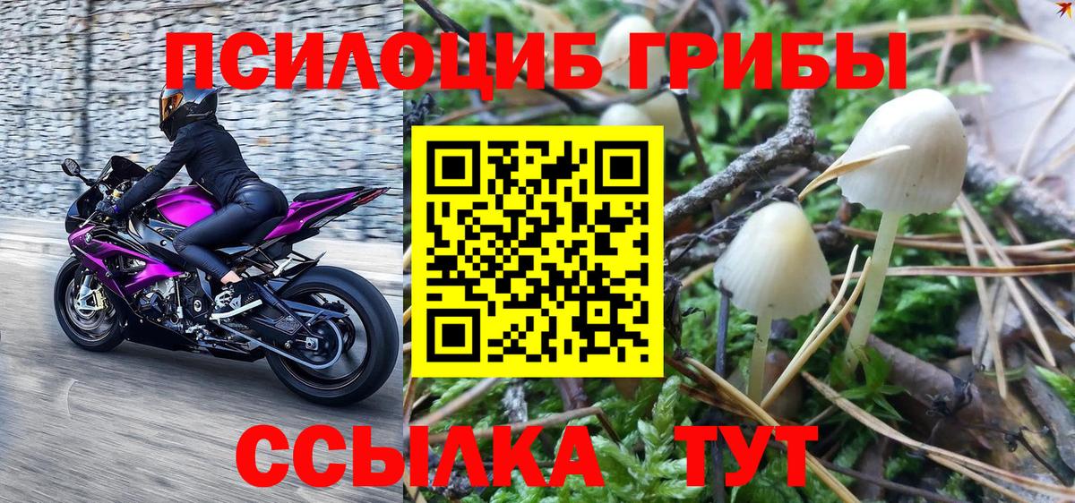 Галлюциногенные грибы Magic Shrooms Чехов